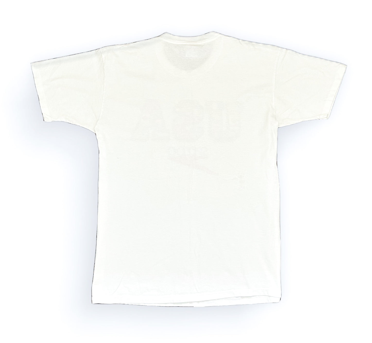 Vintage 1996 Speedo USA Graphic T-Shirt – Rare 90s Olympic Swimwear Tee, Speedo Logo, Flag Print – Size Large