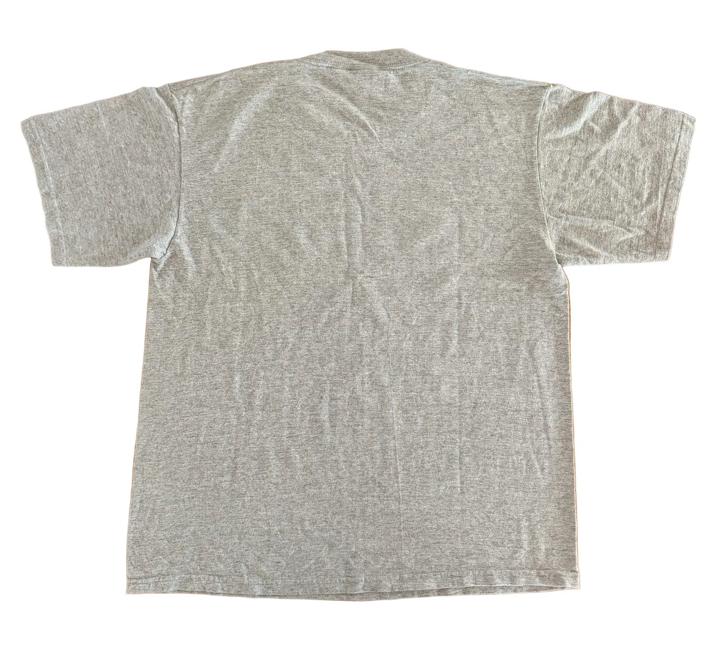Vintage Miami Dolphins NFL Graphic on Grey Cotton T-Shirt – Large