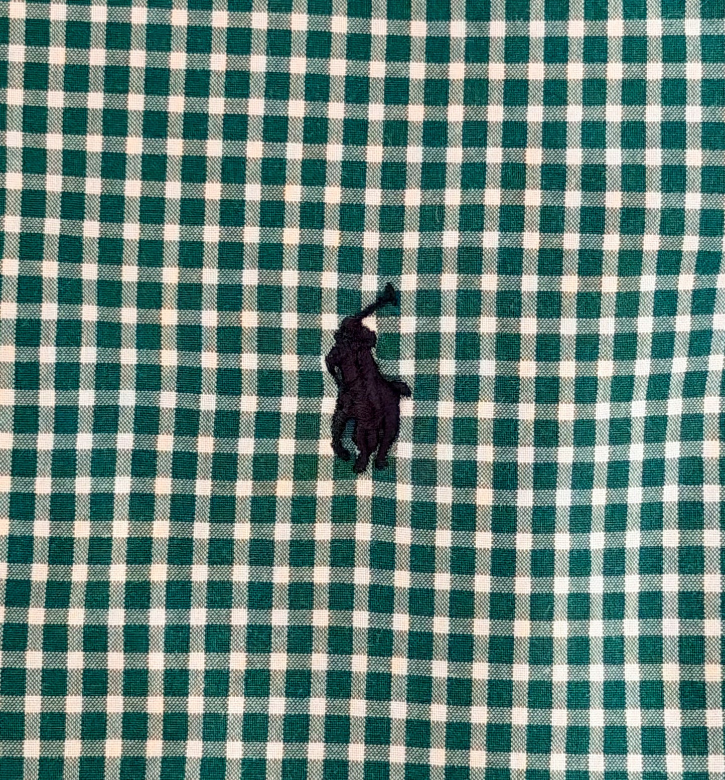 Kids Ralph Lauren Green Gingham Long Sleeve Shirt, 7 Years