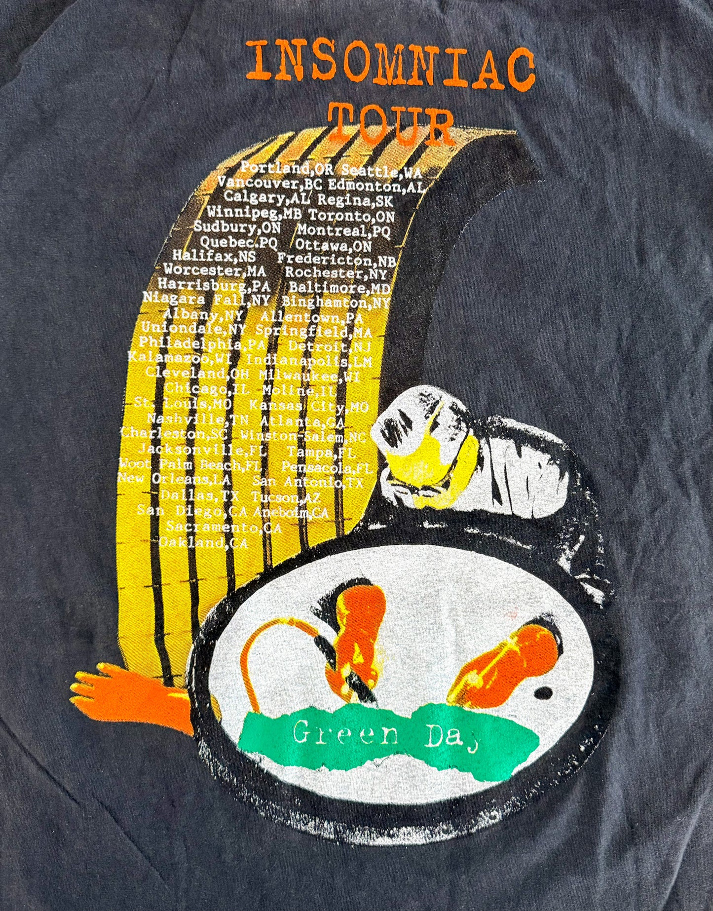 Vintage Green Day Insomniac Tour T-Shirt – 90s Punk Rock Band Tee Dookie Era Collectible Made in USA, Size-XL