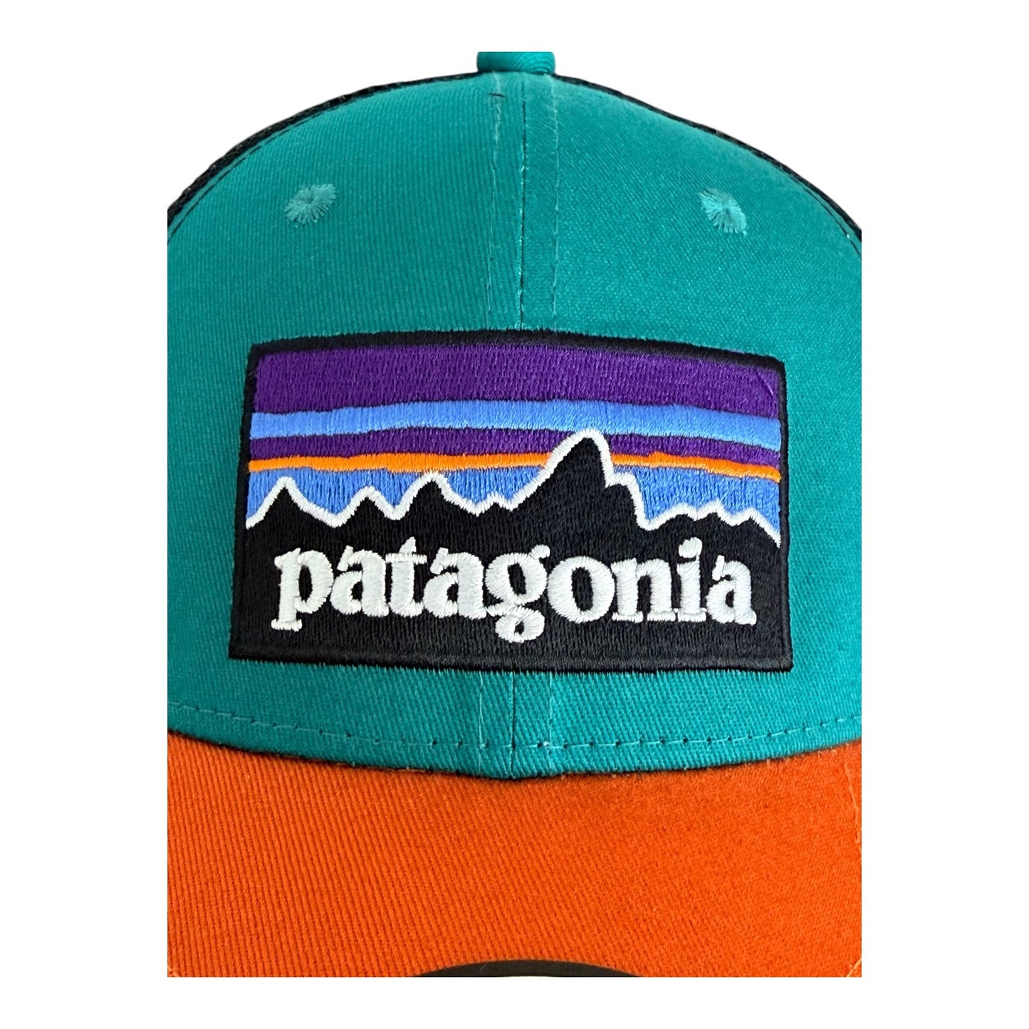 Patagonia P-6 Logo Trucker Snapback Cap One Size