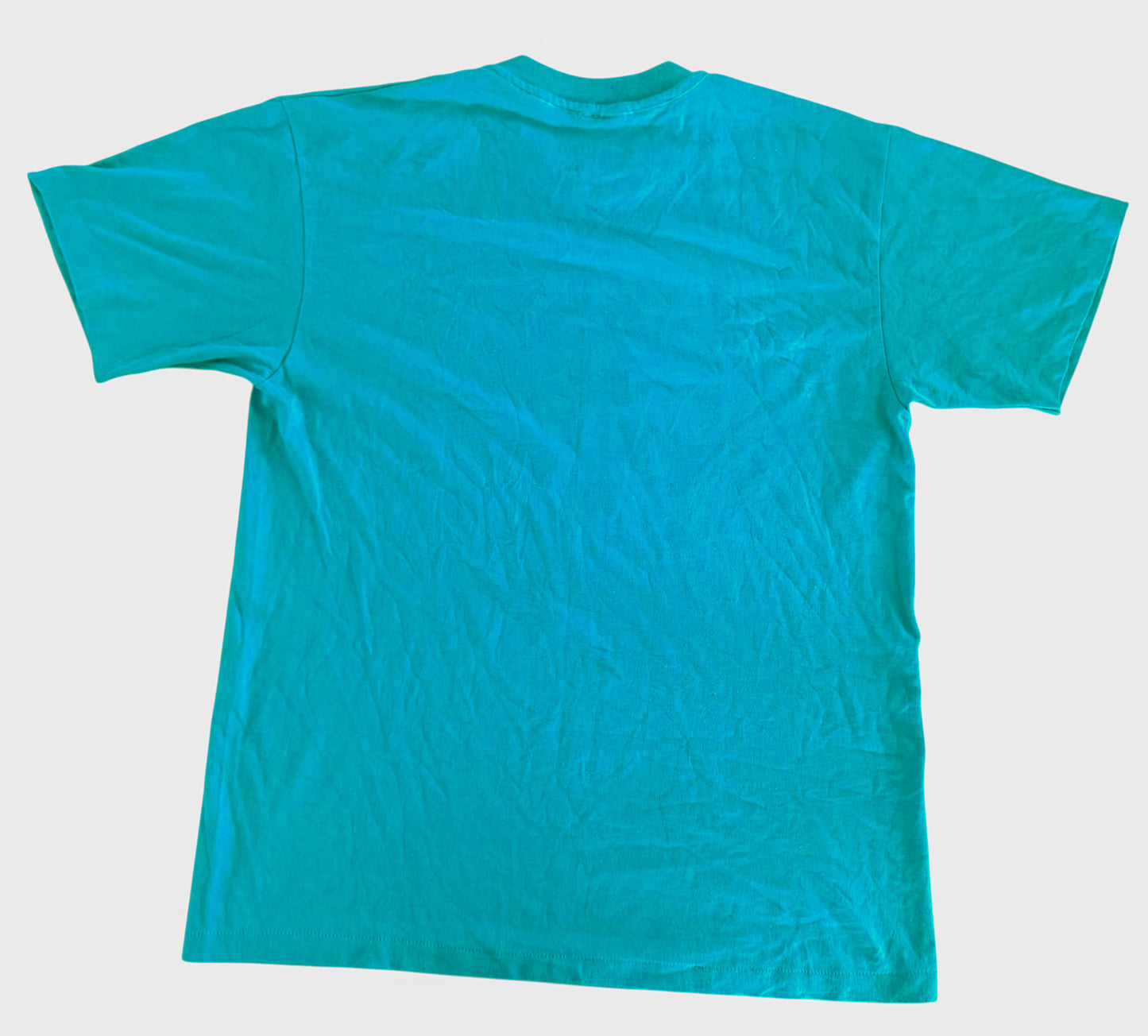 1990s Arizona Southwestern Single Stitch T-Shirt, Large