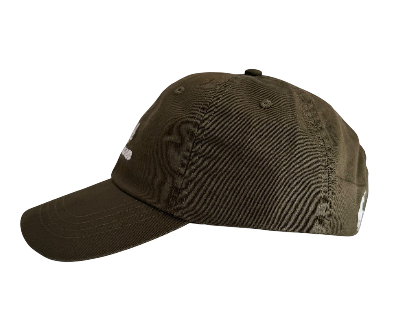 Polo Ralph Lauren Script Logo Cap