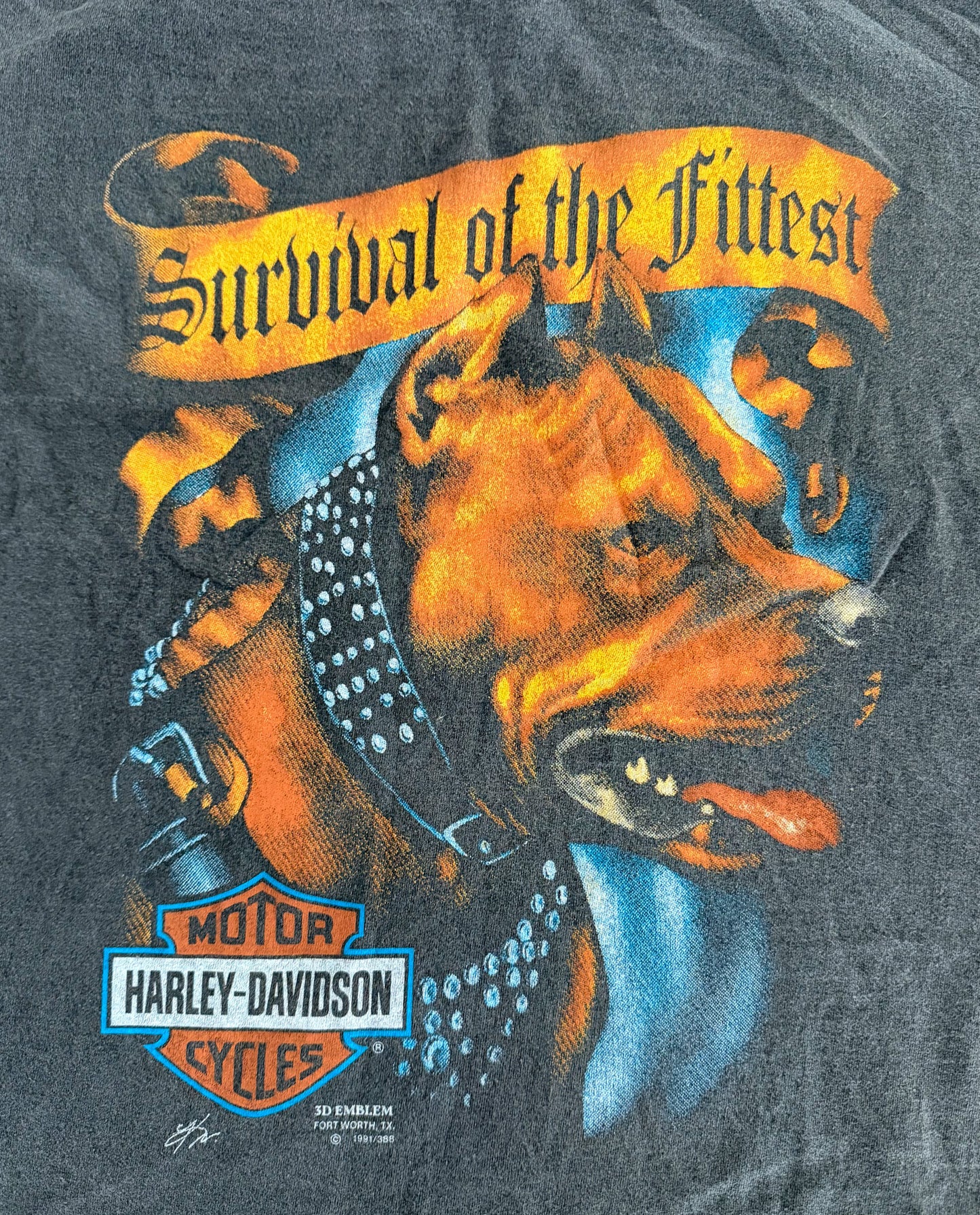 Vintage 1991 Harley Davidson “Survival of the Fittest” 3D Emblem Single Stitch T-Shirt Large
