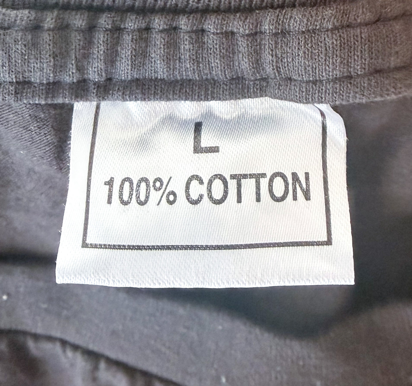 Vintage 1990s The Jesus Lizard “You Idiot” Single Stitch Band T-Shirt Large