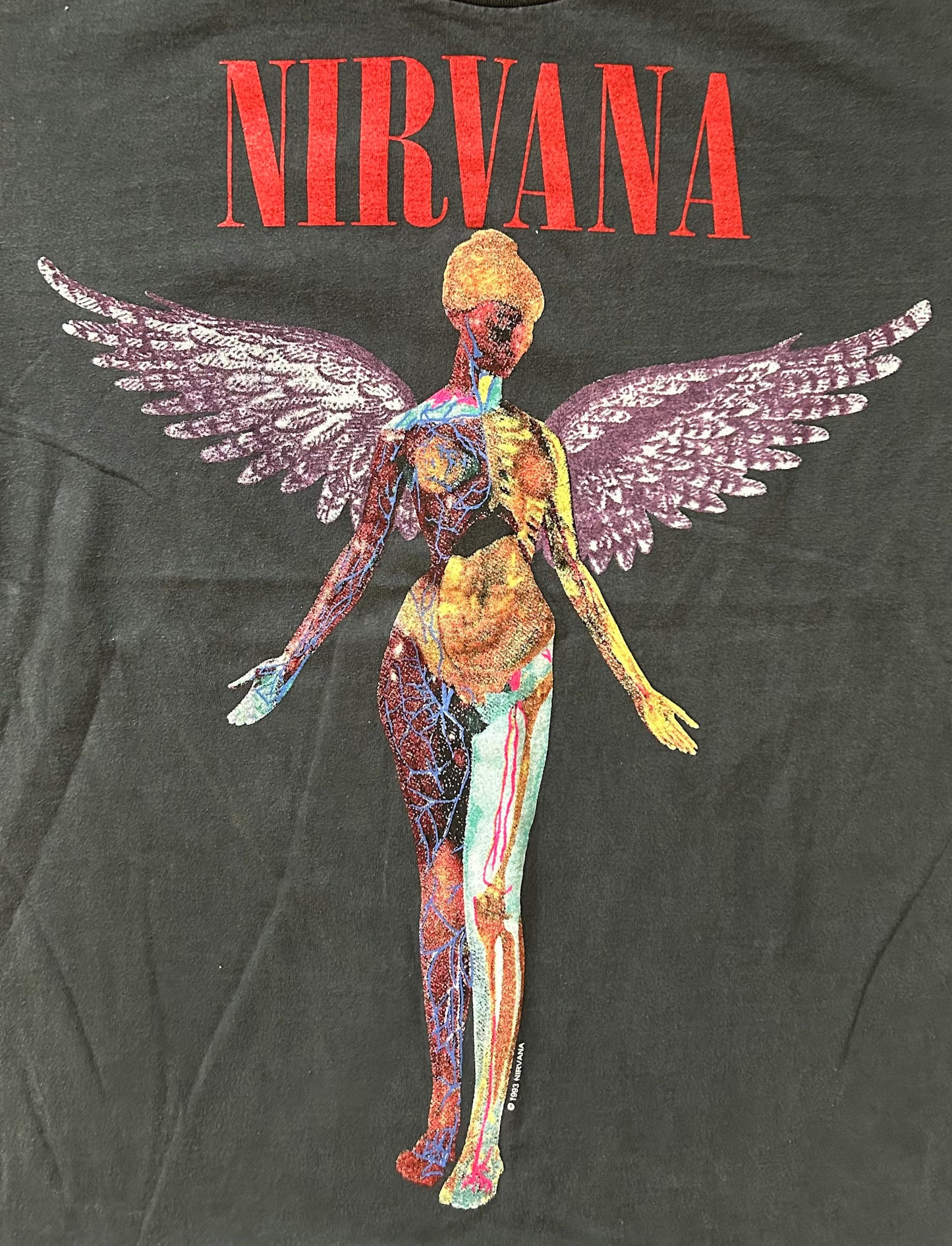 Vintage 1990s Nirvana In Utero Giant Label Single Stitch Made USA Black Cotton Grunge Band T-shirt Large Rare