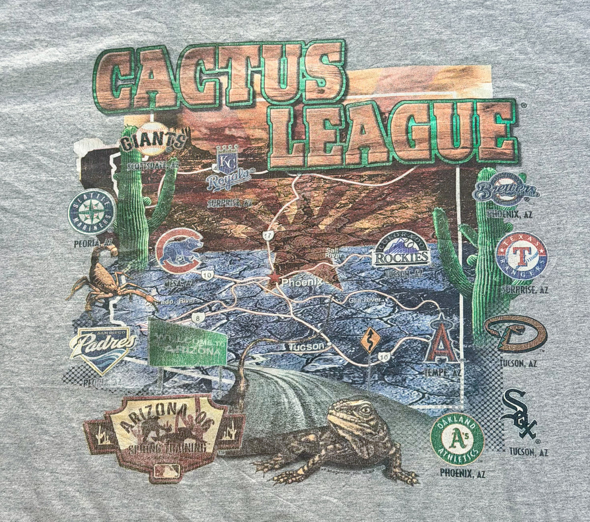 Vintage Lee Sport Cactus League Arizona Baseball Graphic T-Shirt, XXL