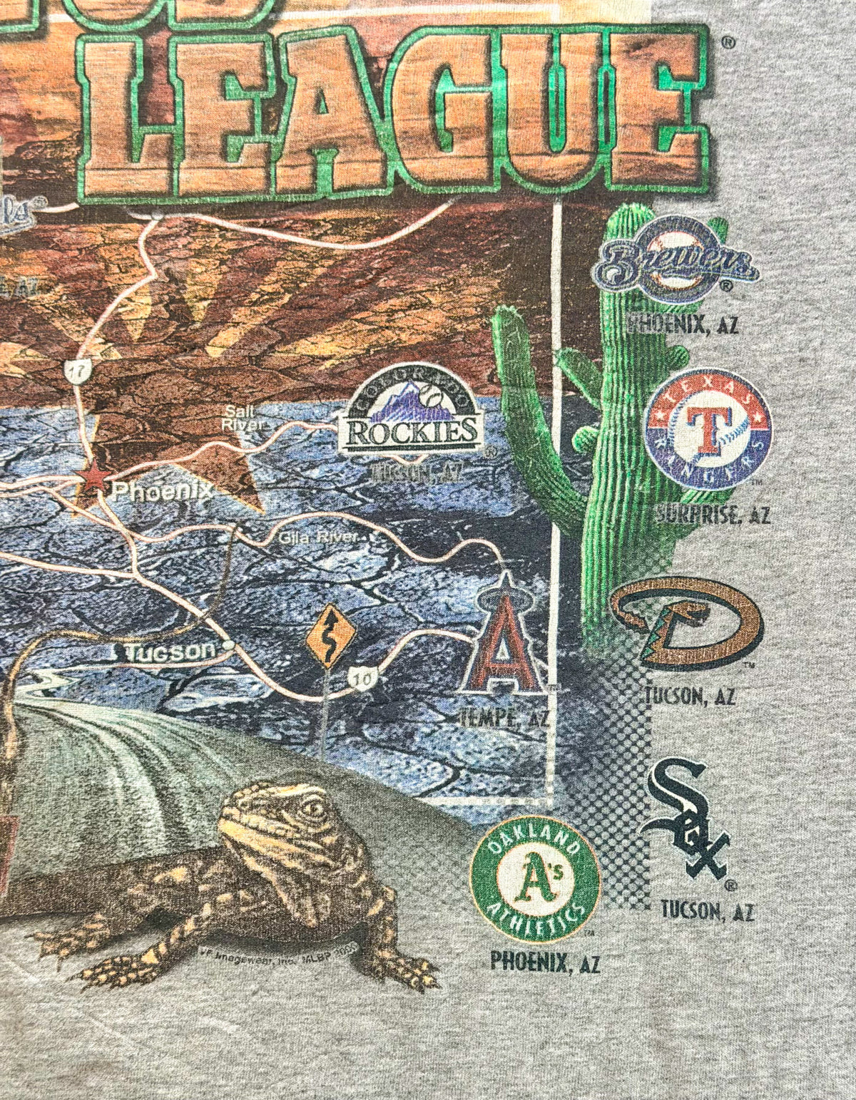 Vintage Lee Sport Cactus League Arizona Baseball Graphic T-Shirt, XXL
