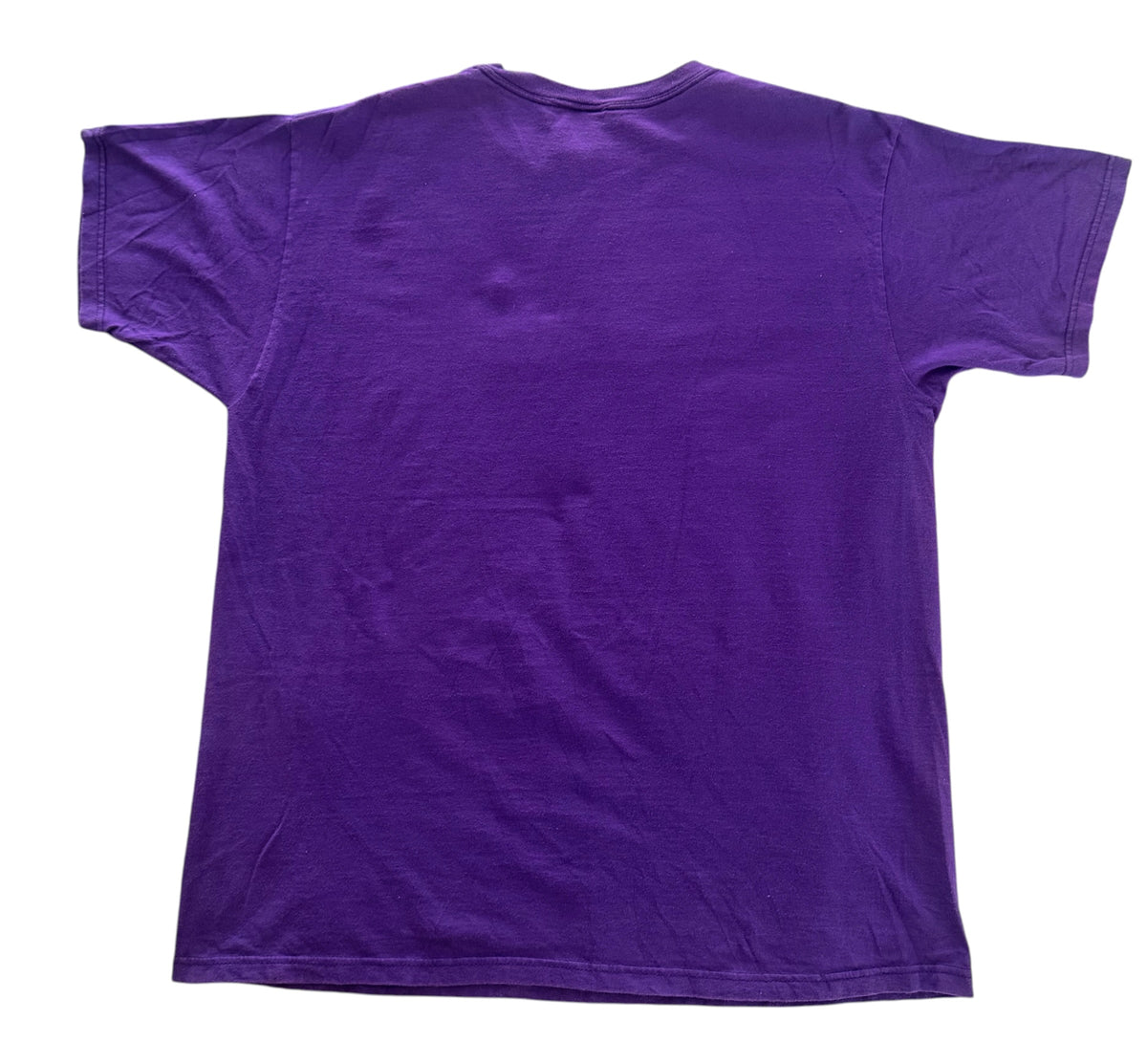 Jackson Hole Purple Embroidered Flower T-Shirt, XL