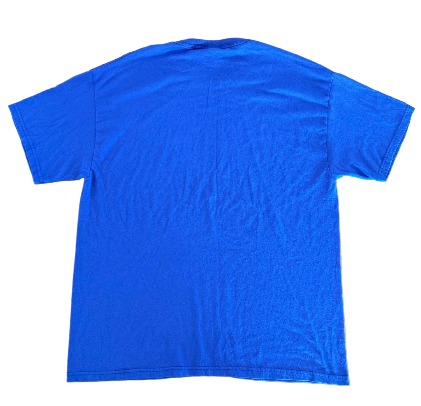 Arizona Desert Graphic T-shirt, size XL