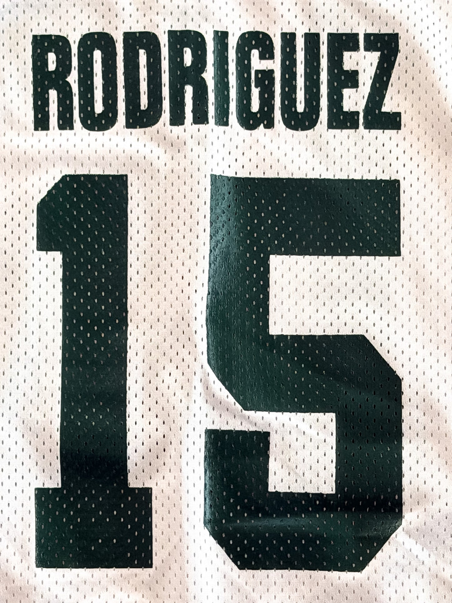 Vintage Nike Team Rodriguez #15 NFL Jersey, size Medium