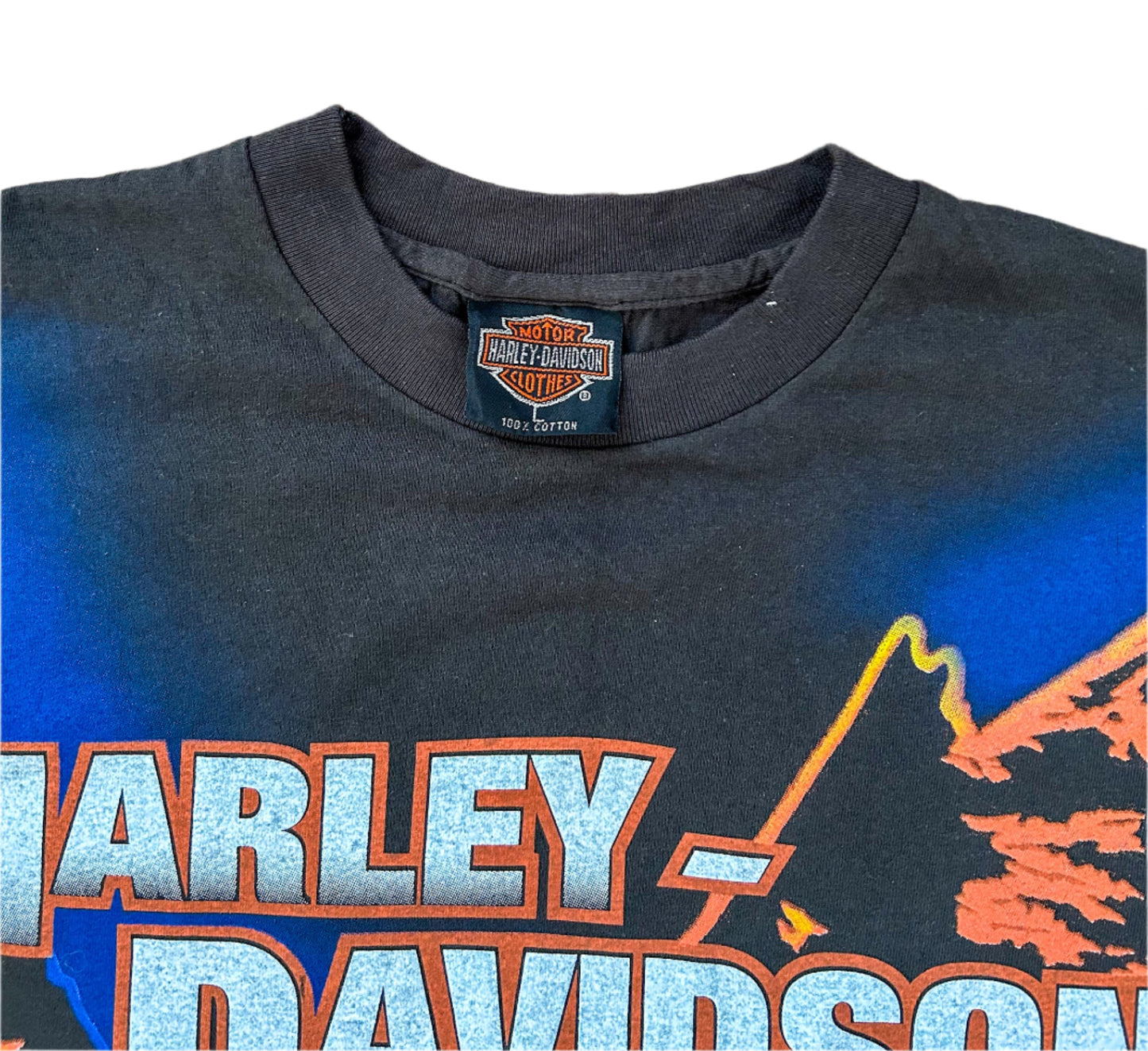 Rare 90s Harley-Davidson T-Shirt – Southernmost Rider Key West, Single Stitch, Made in USA, Eagle Print Tee - Large