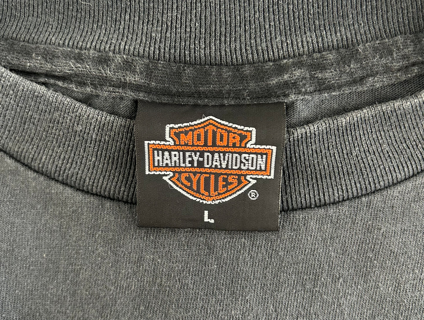 Vintage 90s Harley-Davidson Flame Sleeve Long Sleeve Tee | Biker Graphic Shirt USA Made, Single Stitch, Size - Large