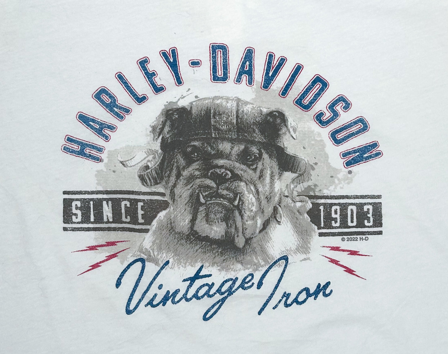 Vintage Harley-Davidson “Vintage Iron” Bulldog Tank Top – Superstition Harley-Davidson, Apache Junction AZ – White Biker Graphic Muscle Tee, Size -  Large