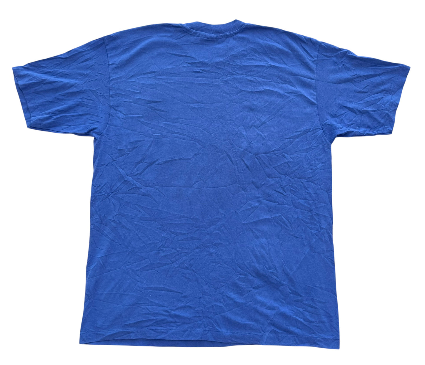 Vintage 1993 Reunion Single Stitch Made in USA T-Shirt XL