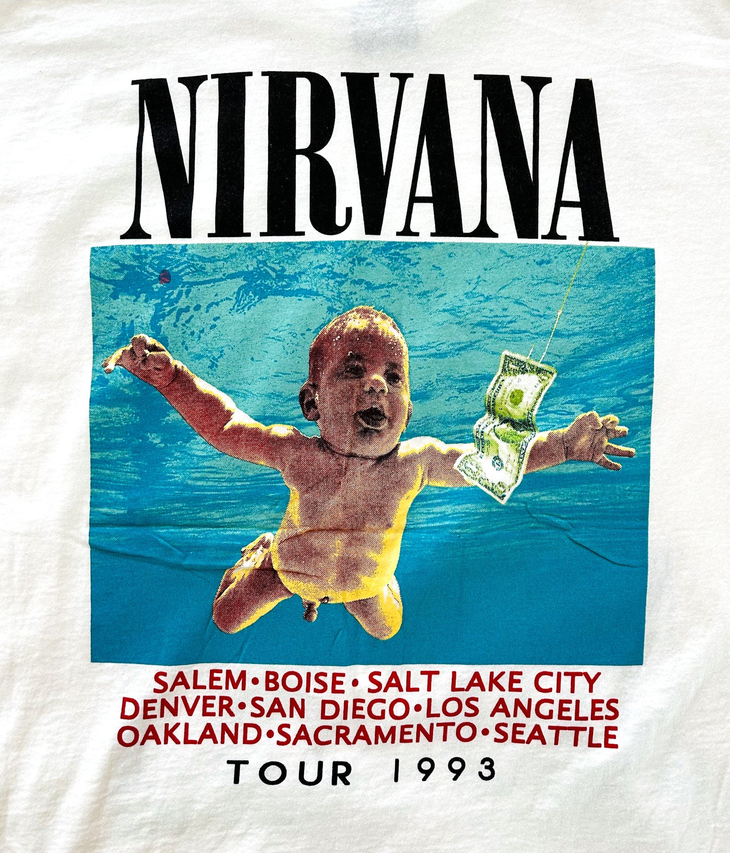 Vintage Nirvana T-Shirt 1990s In Utero Tour Double Sided Single Stitch – Rare 90s Giant Label Band Tee Made in USA, Size - XL