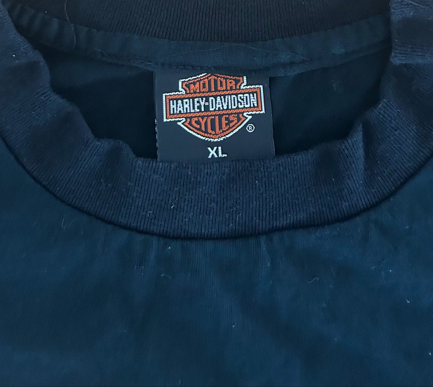 Harley-Davidson Looney Tunes T-Shirt – Bugs Bunny & Taz Biker Tee Black Single Stitch Warner Bros, Size - XL