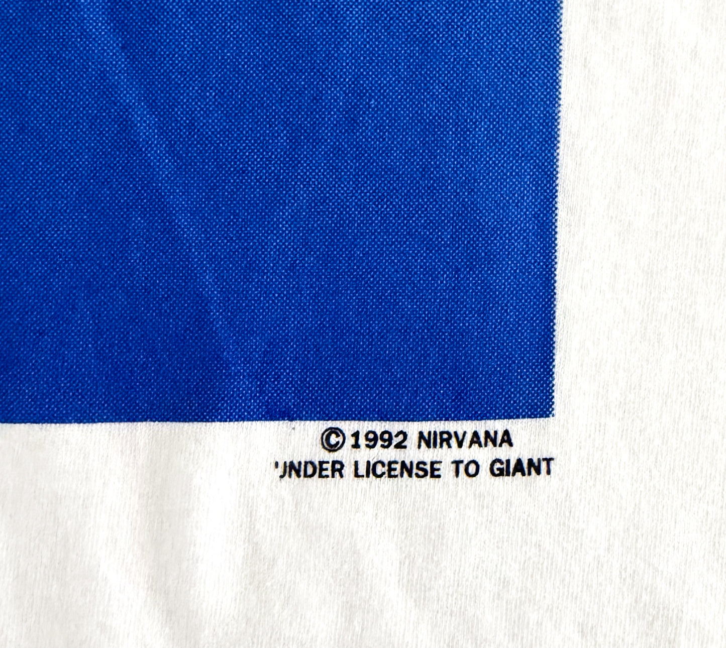 Nirvana Nevermind Giant Long Sleeve Band T-Shirt, XL