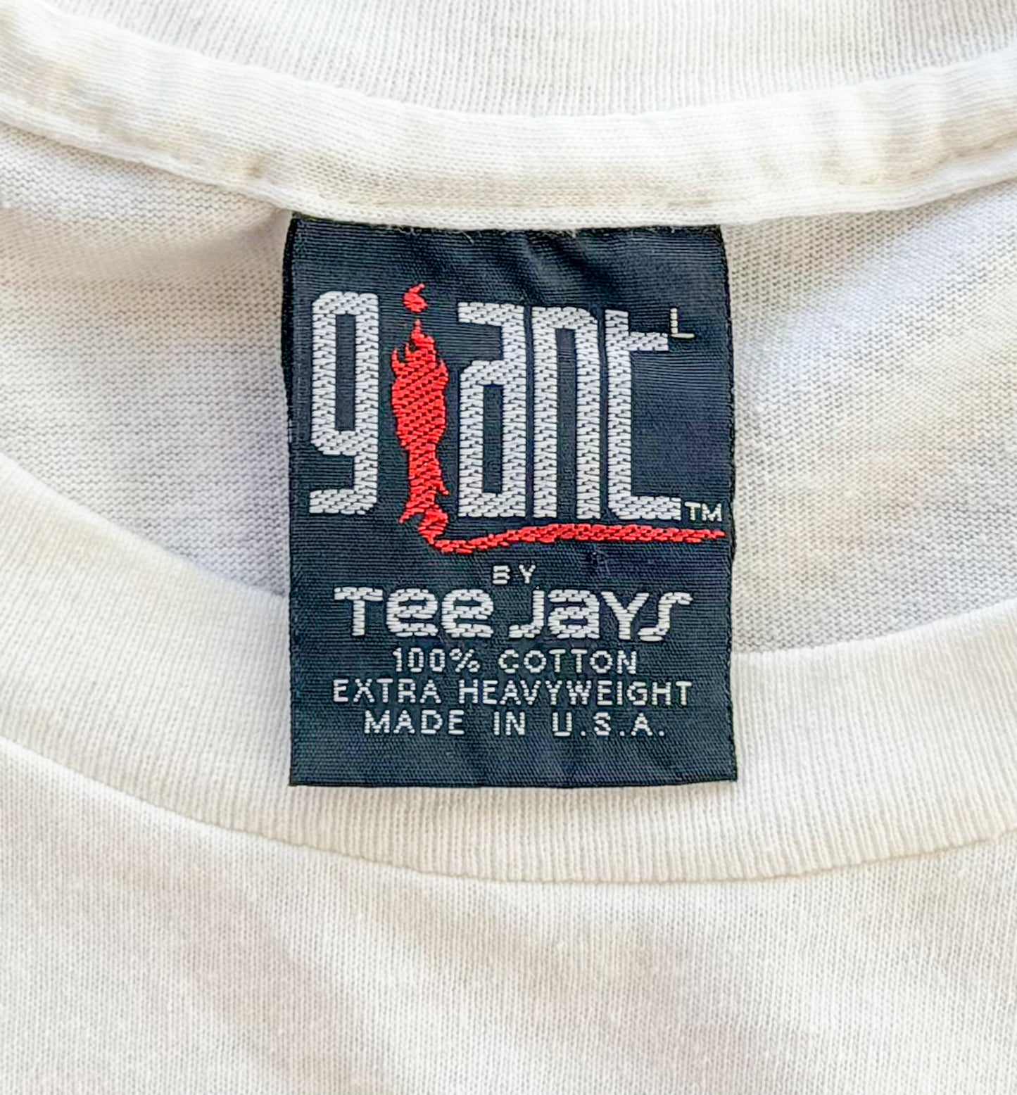 Vintage Nirvana In Utero Tee, Giant By Tee Jays Label, Single Stitch Made In USA, Size Large Rare