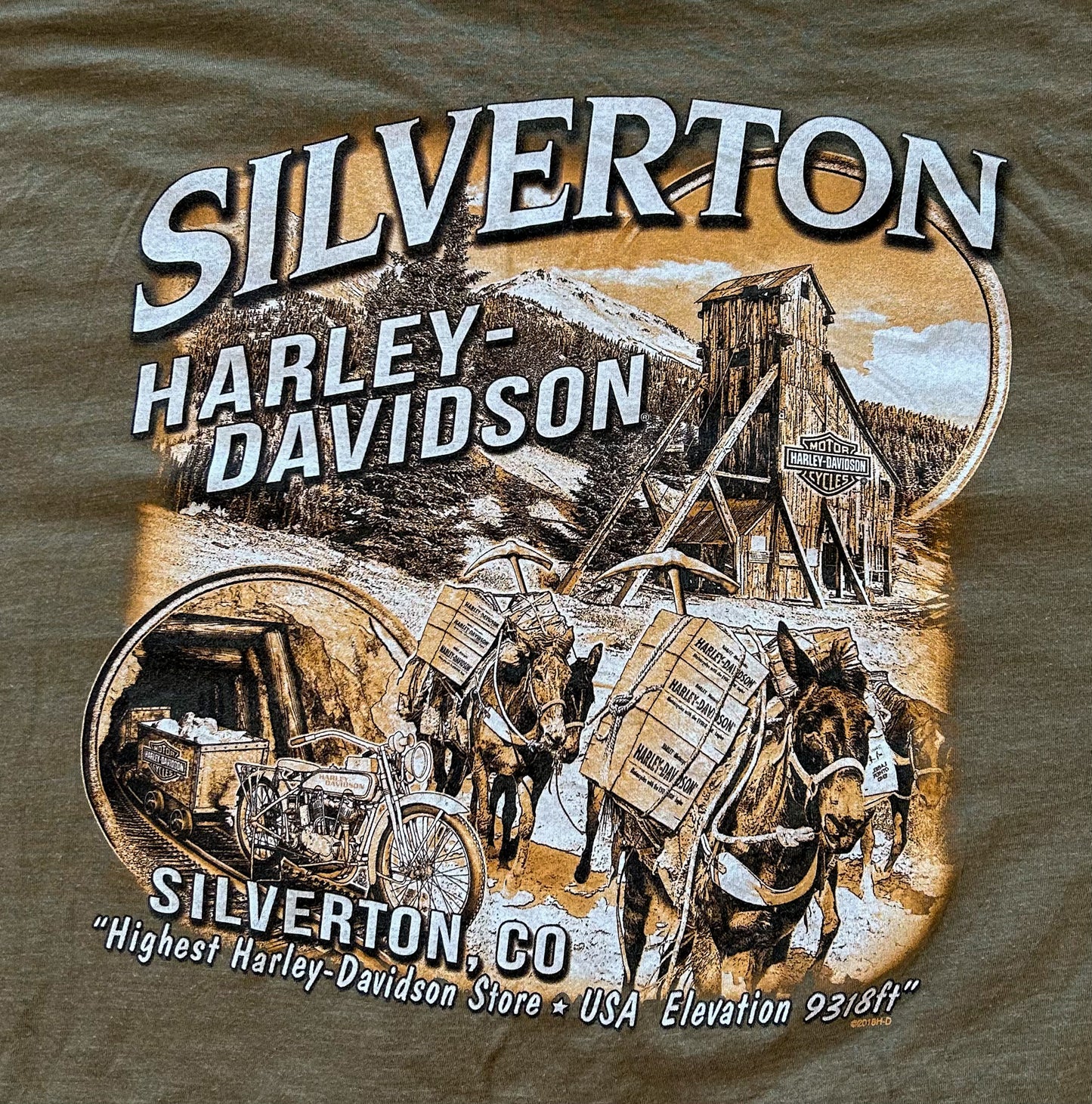 Vintage Harley Davidson Silverton Tee XL