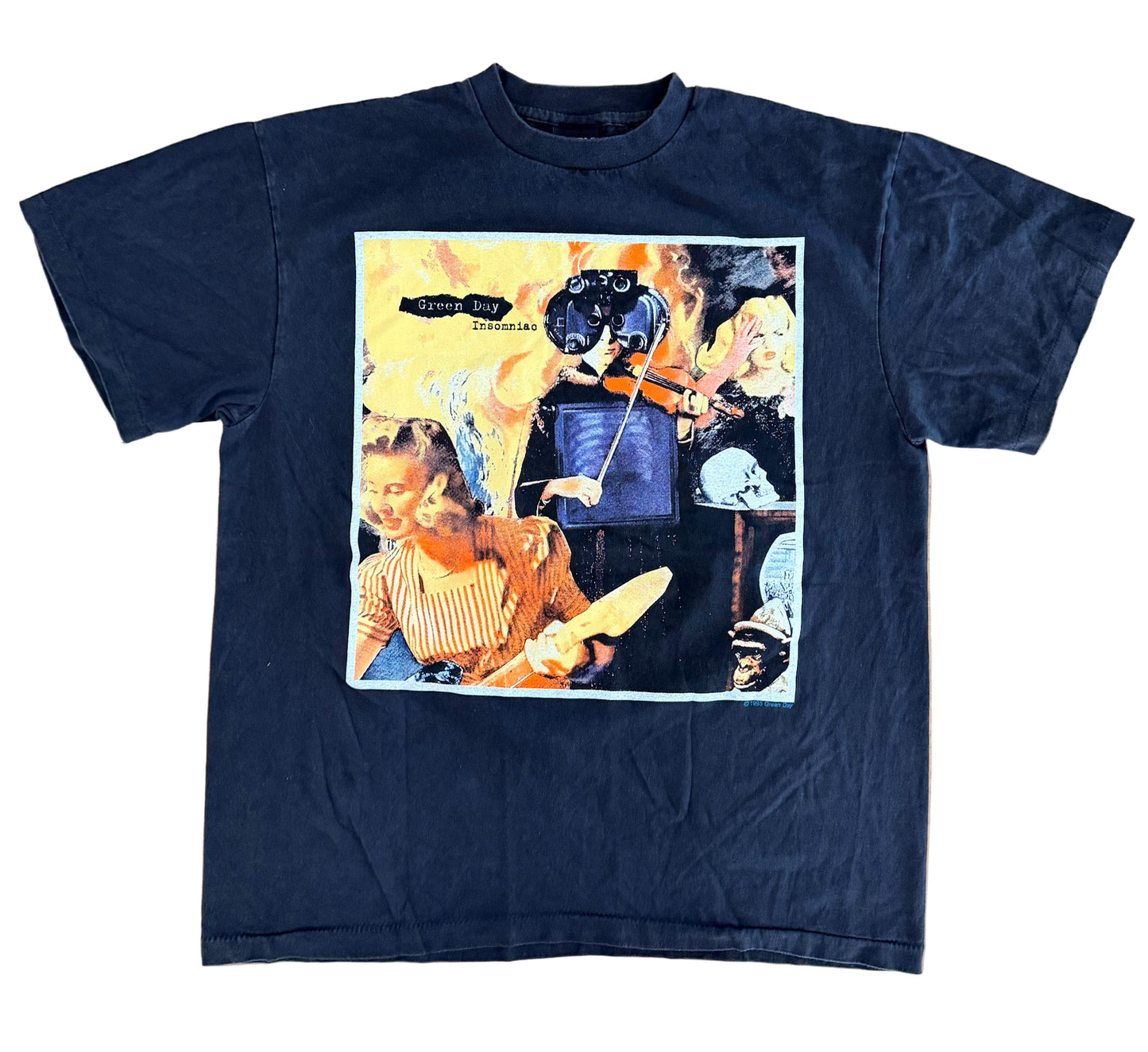 Vintage Green Day Insomniac Tour T-Shirt – 90s Punk Rock Band Tee Dookie Era Collectible Made in USA, Size-XL