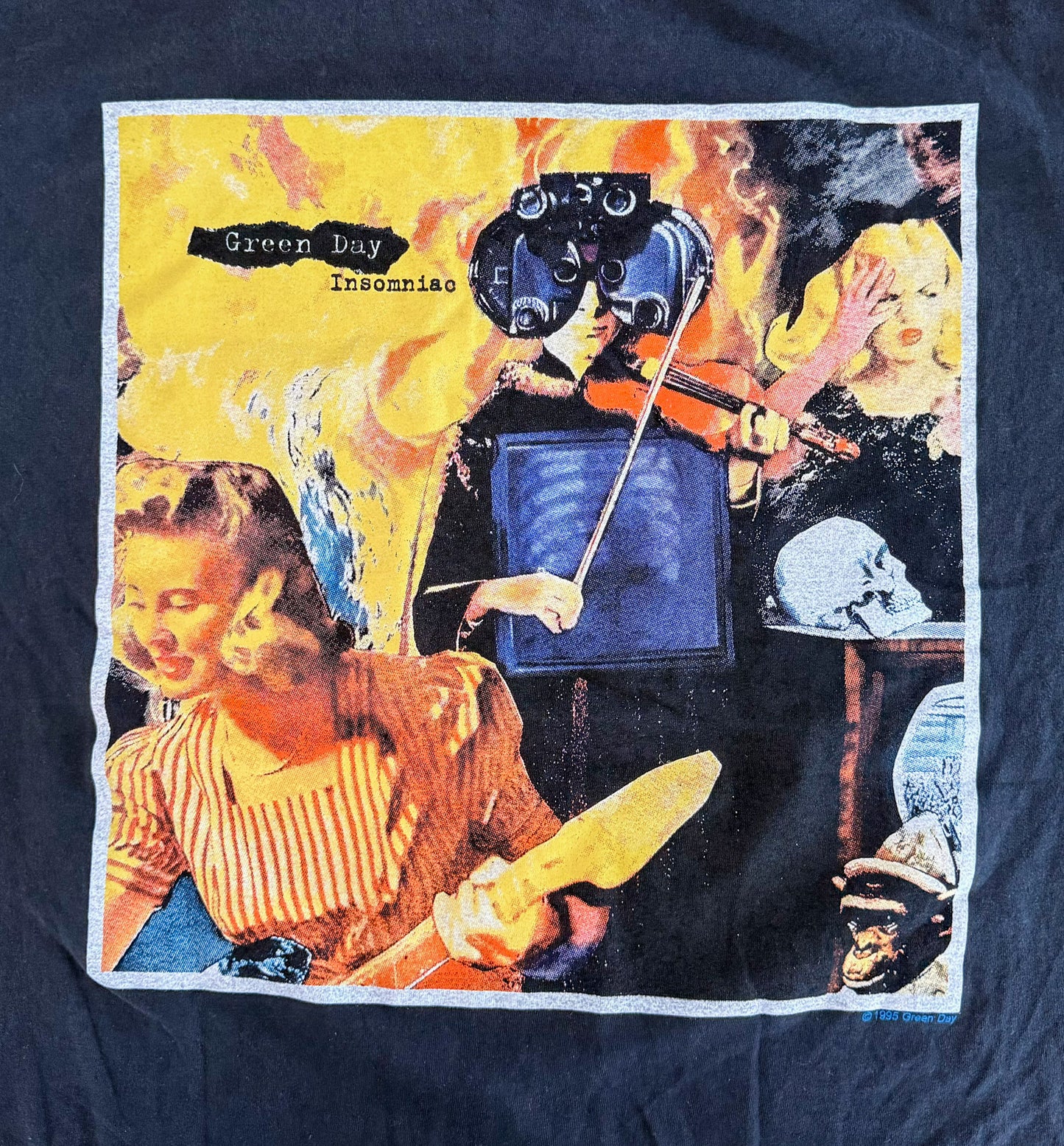 Vintage Green Day Insomniac Tour T-Shirt – 90s Punk Rock Band Tee Dookie Era Collectible Made in USA, Size-XL