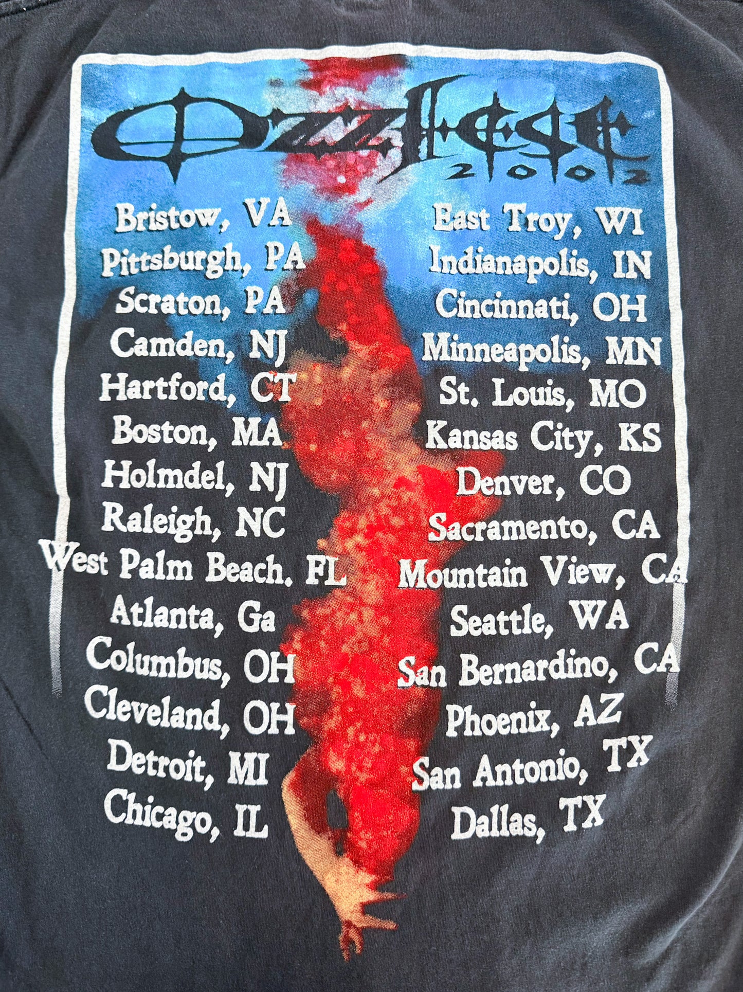 Vintage 2002 Ozzy Graphic Band T-Shirt – Ozzfest Tour Tee – Heavyweight Black Rock Metal Shirt,Size-Large