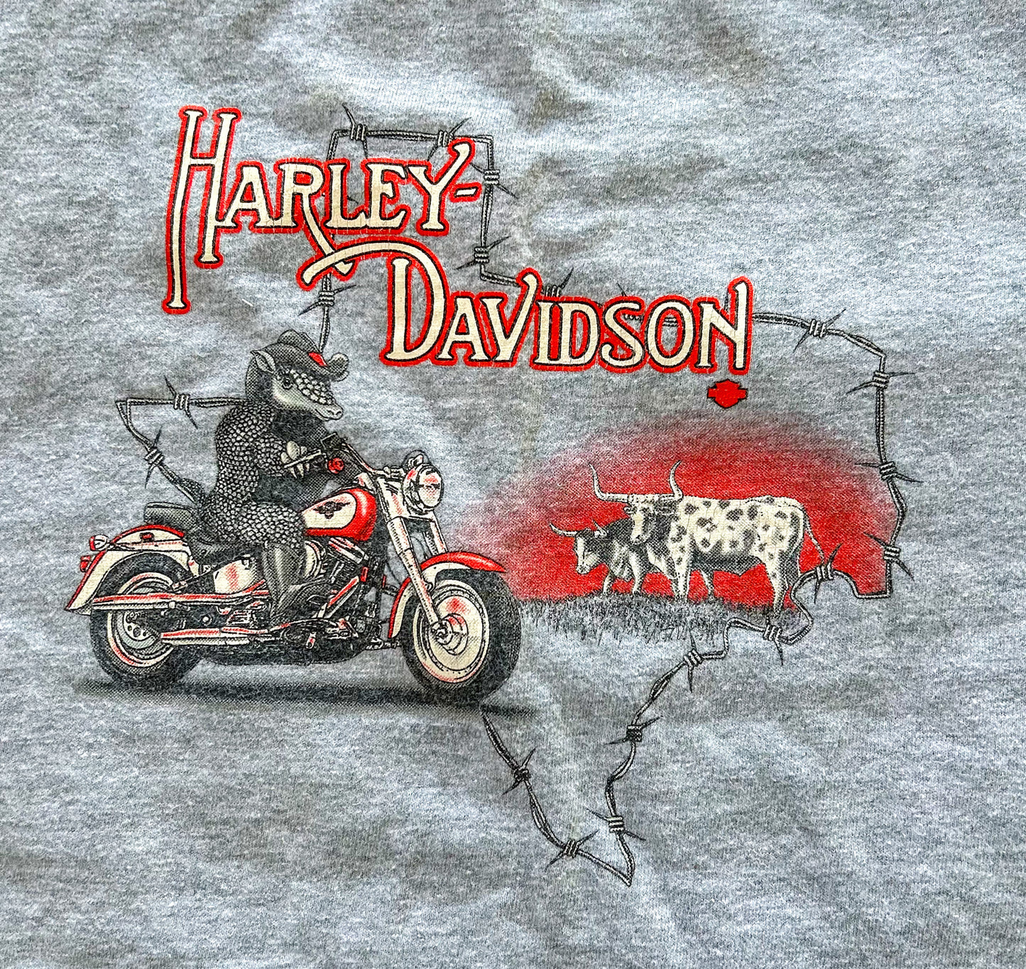 Vintage 1999 Harley Davidson Kids Tee 6-8 Years - Rare