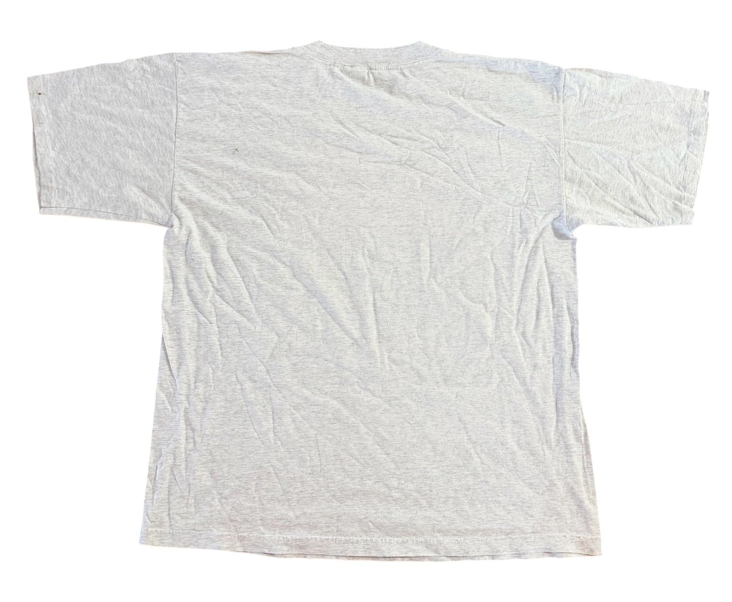 Vintage 1996 Rose Bowl Northwestern Wildcats T-Shirt XL