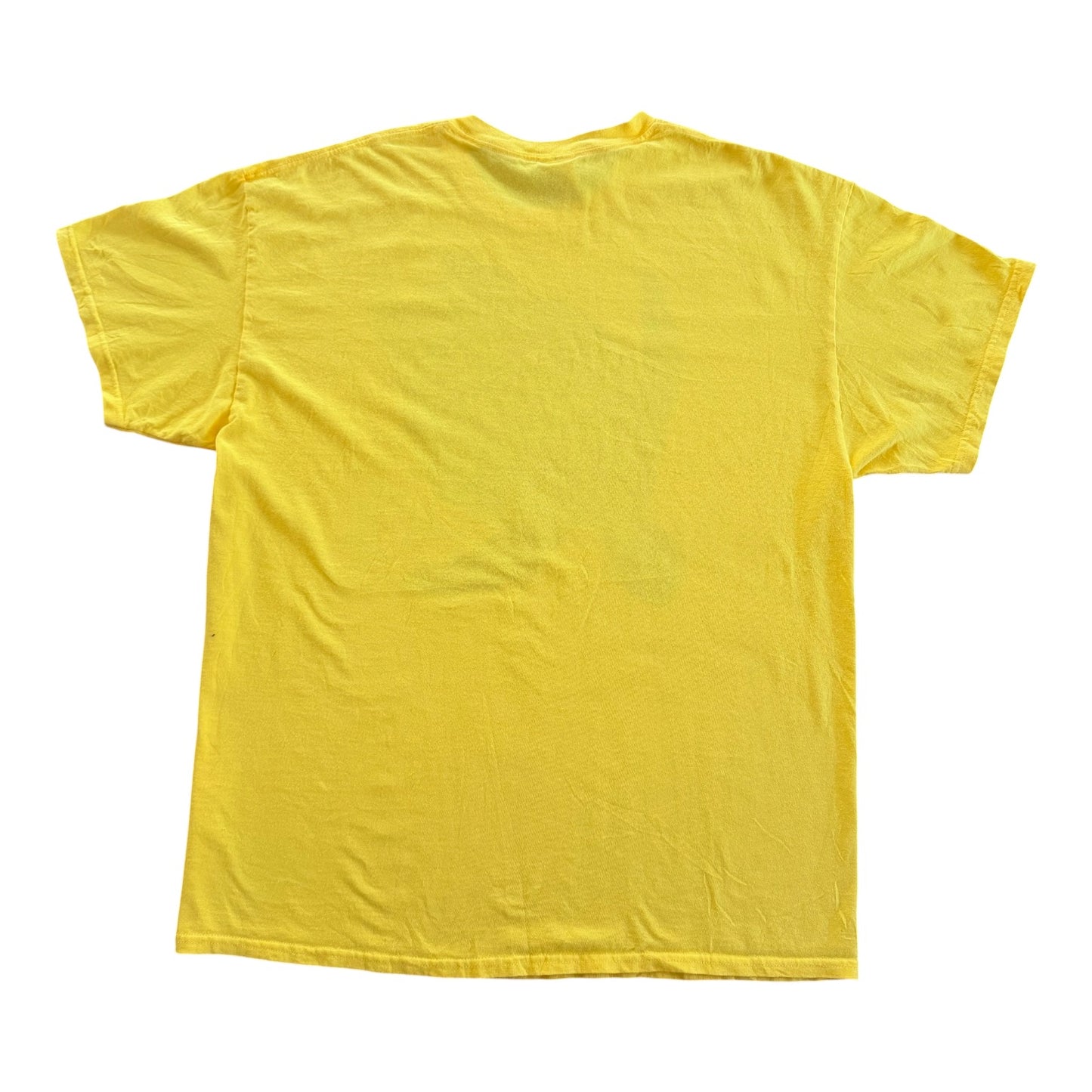 2000s Tonga Sea Turtle Tourist T-Shirt XL